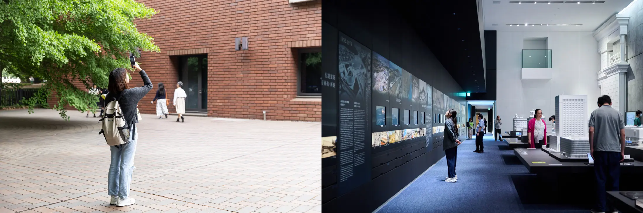 特別公開・特別展示（無料）