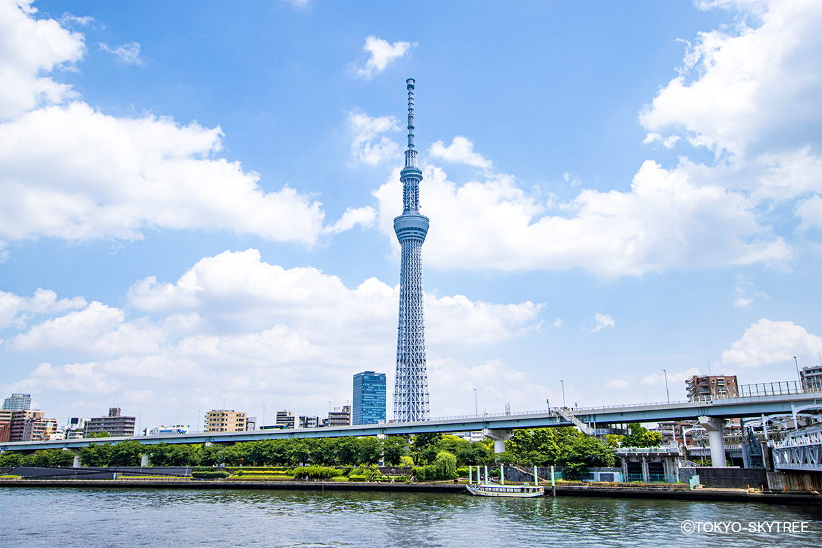 【連携企画】東京建築アクセスポイントワークショップ｜パスタタワー選手権